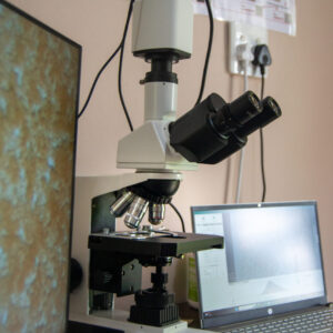 Live Blood Analysis